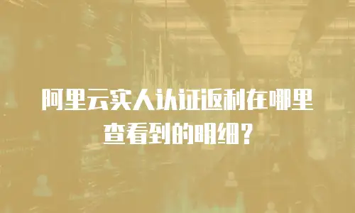 阿里云实人认证返利在哪里查看到的明细？