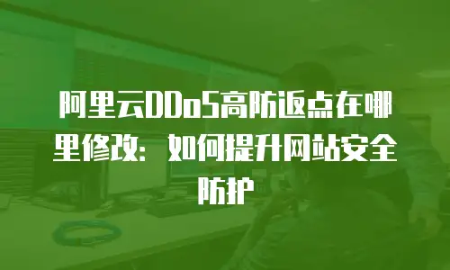 阿里云DDoS高防返点在哪里修改：如何提升网站安全防护