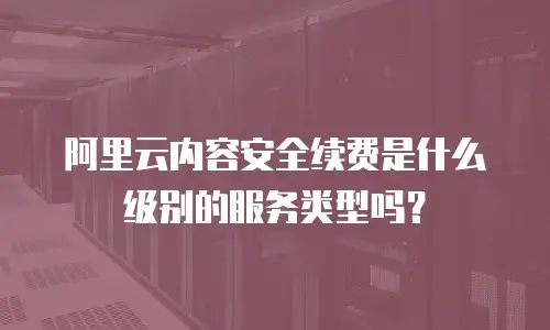 阿里云内容安全续费是什么级别的服务类型吗？