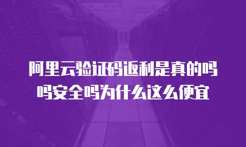 阿里云验证码返利是真的吗吗安全吗为什么这么便宜