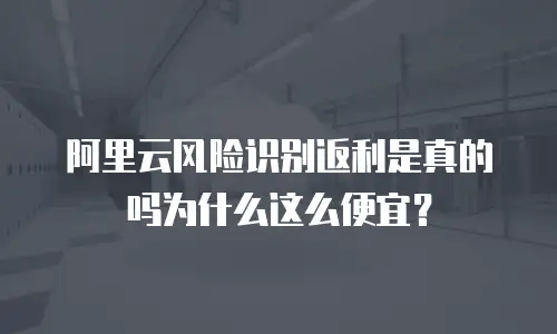 阿里云风险识别返利是真的吗为什么这么便宜？
