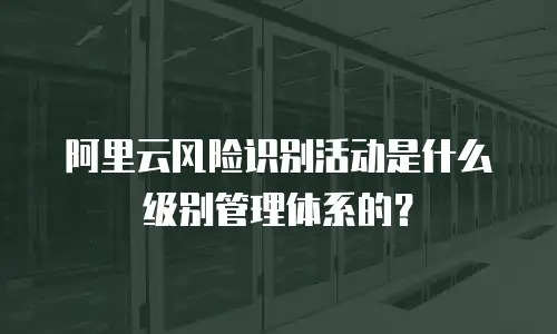 阿里云风险识别活动是什么级别管理体系的？