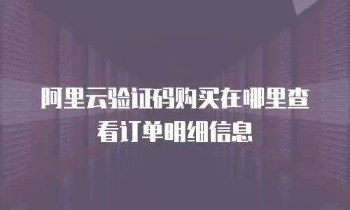 阿里云验证码购买在哪里查看订单明细信息