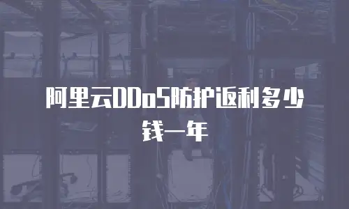 阿里云DDoS防护返利多少钱一年