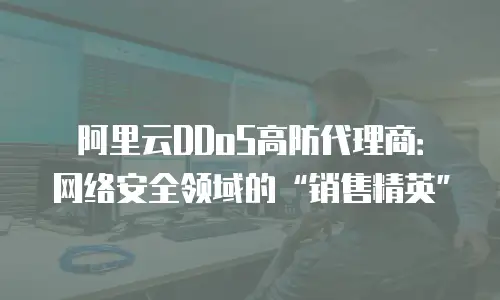 阿里云DDoS高防代理商：网络安全领域的“销售精英”