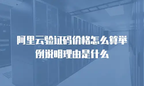 阿里云验证码价格怎么算举例说明理由是什么
