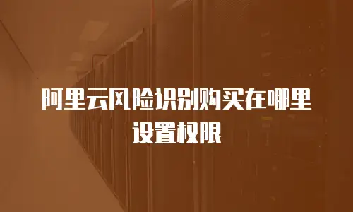 阿里云风险识别购买在哪里设置权限