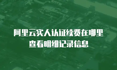 阿里云实人认证续费在哪里查看明细记录信息
