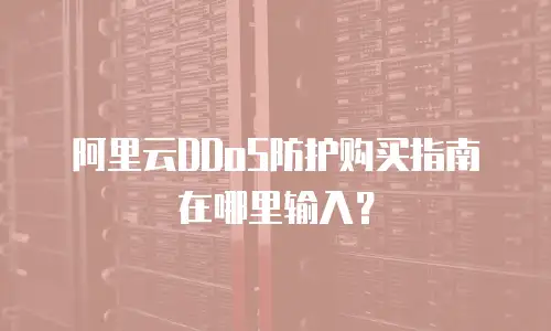 阿里云DDoS防护购买指南在哪里输入？
