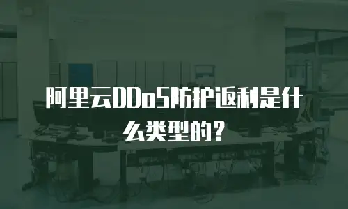 阿里云DDoS防护返利是什么类型的？