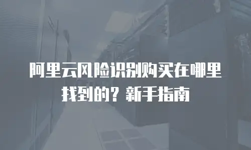 阿里云风险识别购买在哪里找到的？新手指南