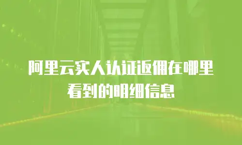 阿里云实人认证返佣在哪里看到的明细信息