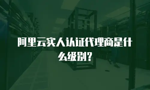 阿里云实人认证代理商是什么级别？