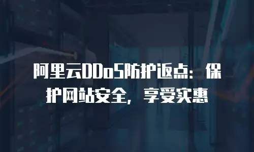 阿里云DDoS防护返点：保护网站安全，享受实惠