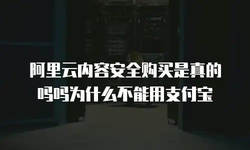 阿里云内容安全购买是真的吗吗为什么不能用支付宝