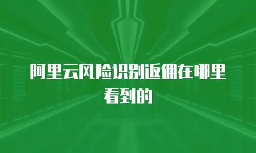 阿里云风险识别返佣在哪里看到的