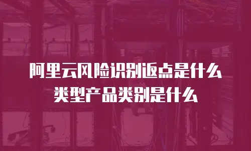 阿里云风险识别返点是什么类型产品类别是什么