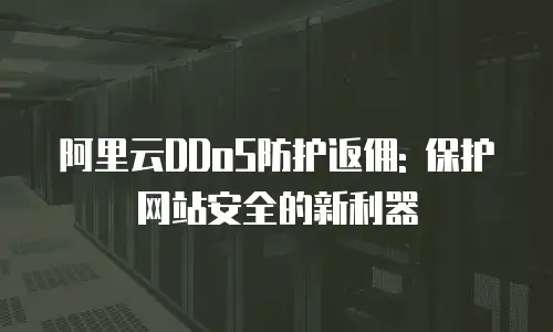 阿里云DDoS防护返佣: 保护网站安全的新利器