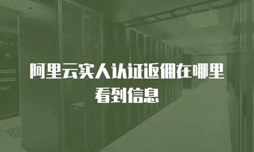 阿里云实人认证返佣在哪里看到信息