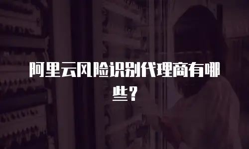 阿里云风险识别代理商有哪些？