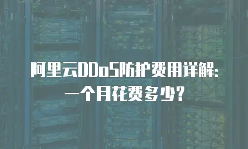 阿里云DDoS防护费用详解：一个月花费多少？
