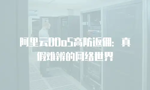 阿里云DDoS高防返佣：真假难辨的网络世界