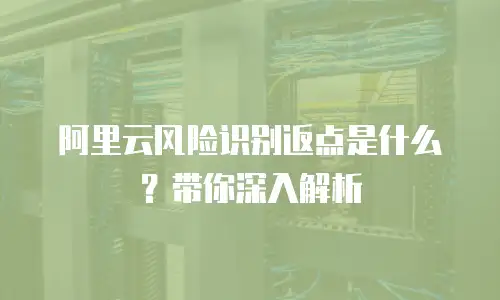 阿里云风险识别返点是什么？带你深入解析