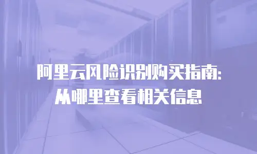 阿里云风险识别购买指南：从哪里查看相关信息