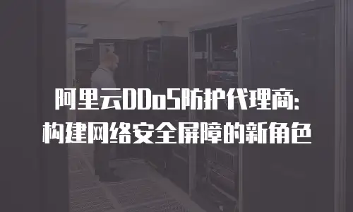 阿里云DDoS防护代理商：构建网络安全屏障的新角色