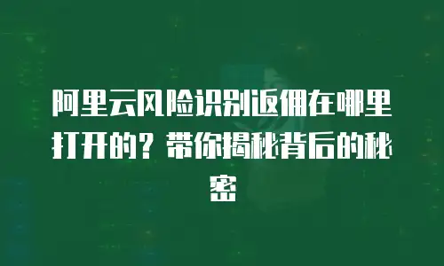 阿里云风险识别返佣在哪里打开的？带你揭秘背后的秘密