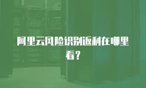 阿里云风险识别返利在哪里看？