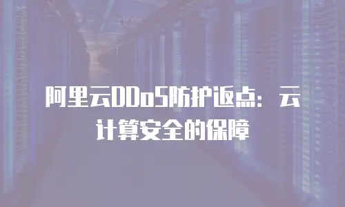 阿里云DDoS防护返点：云计算安全的保障