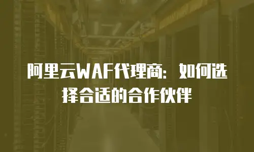阿里云WAF代理商：如何选择合适的合作伙伴