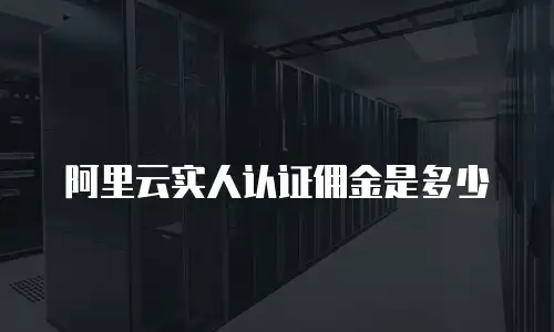 阿里云实人认证佣金是多少