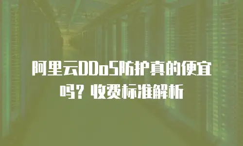 阿里云DDoS防护真的便宜吗？收费标准解析