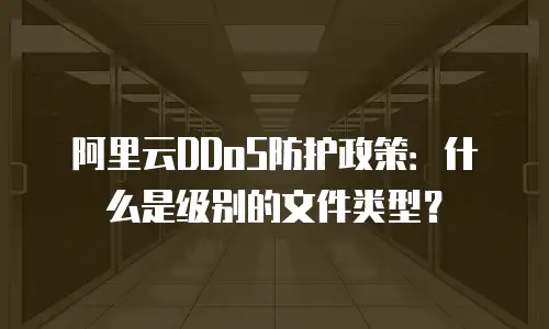 阿里云DDoS防护政策：什么是级别的文件类型？