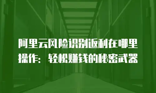 阿里云风险识别返利在哪里操作：轻松赚钱的秘密武器