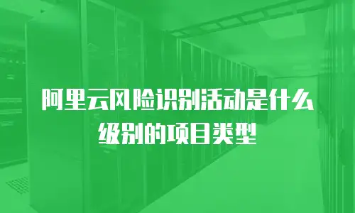 阿里云风险识别活动是什么级别的项目类型