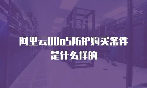阿里云DDoS防护购买条件是什么样的