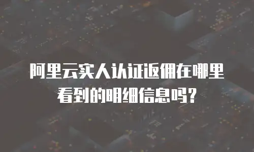 阿里云实人认证返佣在哪里看到的明细信息吗？