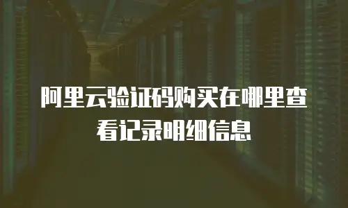 阿里云验证码购买在哪里查看记录明细信息