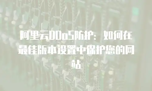 阿里云DDoS防护：如何在最佳版本设置中保护您的网站