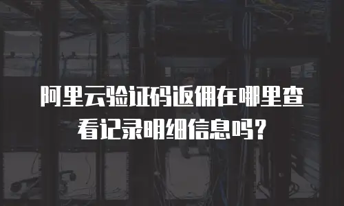 阿里云验证码返佣在哪里查看记录明细信息吗？