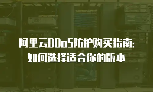 阿里云DDoS防护购买指南：如何选择适合你的版本