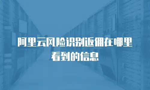 阿里云风险识别返佣在哪里看到的信息