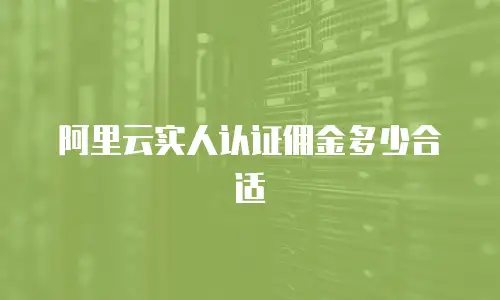 阿里云实人认证佣金多少合适