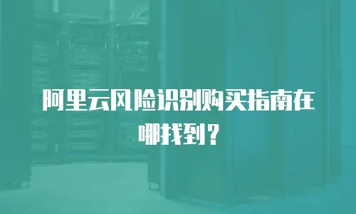阿里云风险识别购买指南在哪找到？