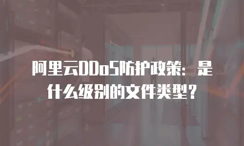 阿里云DDoS防护政策：是什么级别的文件类型？