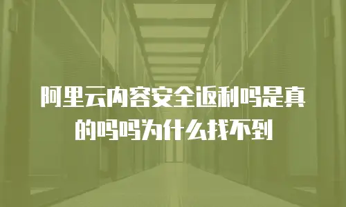阿里云内容安全返利吗是真的吗吗为什么找不到