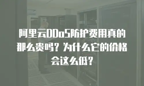 阿里云DDoS防护费用真的那么贵吗？为什么它的价格会这么低？